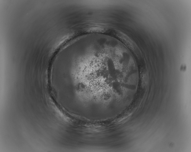 X0000092230729200709281104