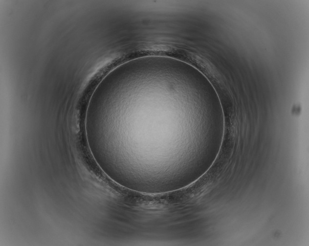 X0000092230731200709281104