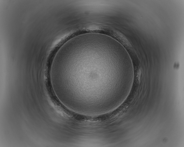 X0000092230732200709281104