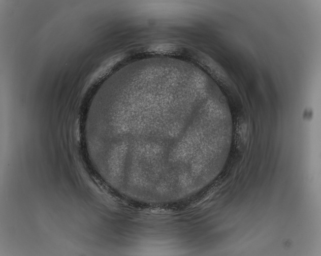 X0000092230734200709281104