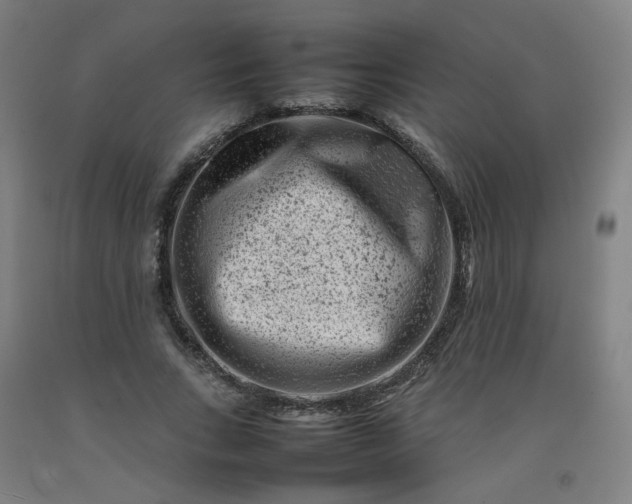 X0000092230735200709281104