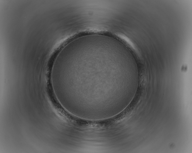 X0000092230736200709281104