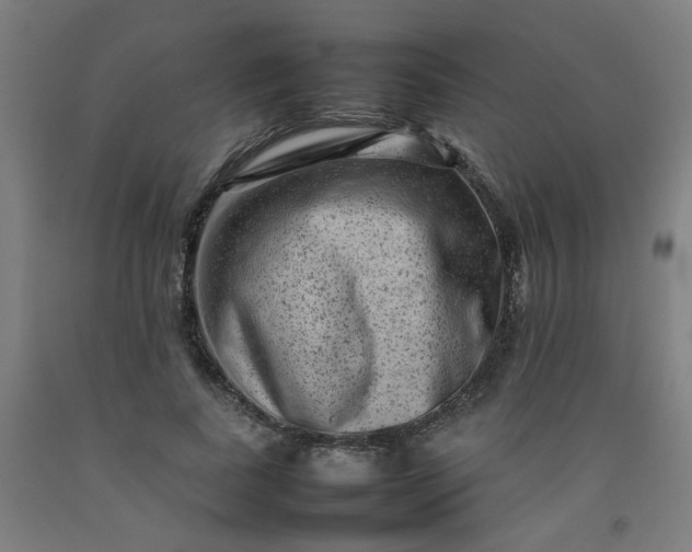 X0000092230739200709281104