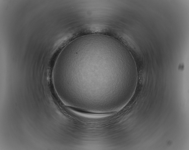 X0000092230740200709281104