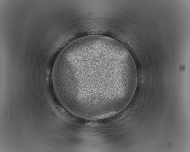 X0000092230742200709281104