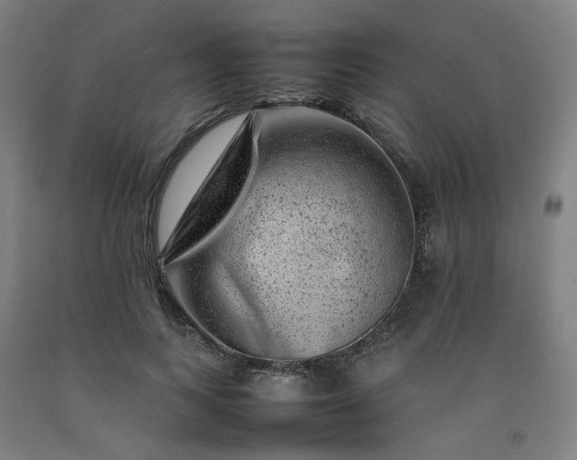 X0000092230743200709281104