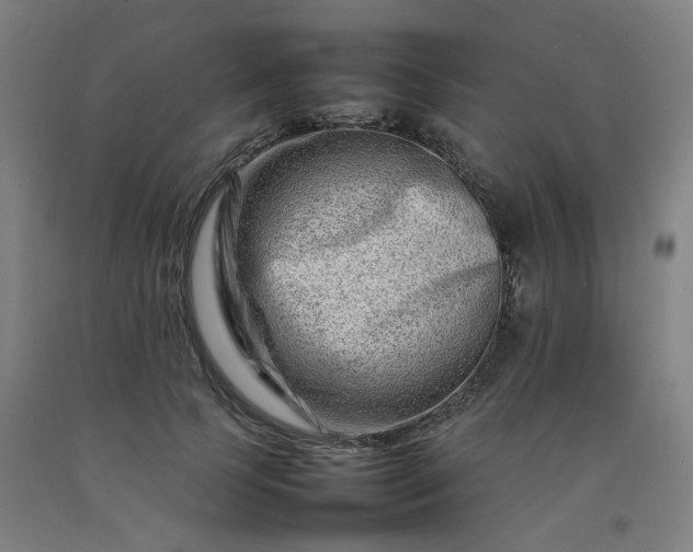 X0000092230745200709281104