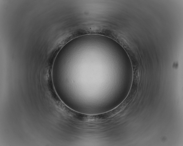 X0000092230746200709281104