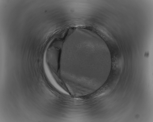 X0000092230748200709281104