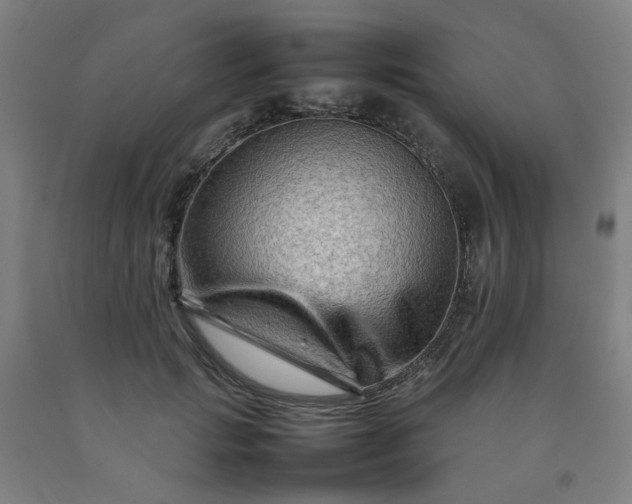 X0000092230749200709281104