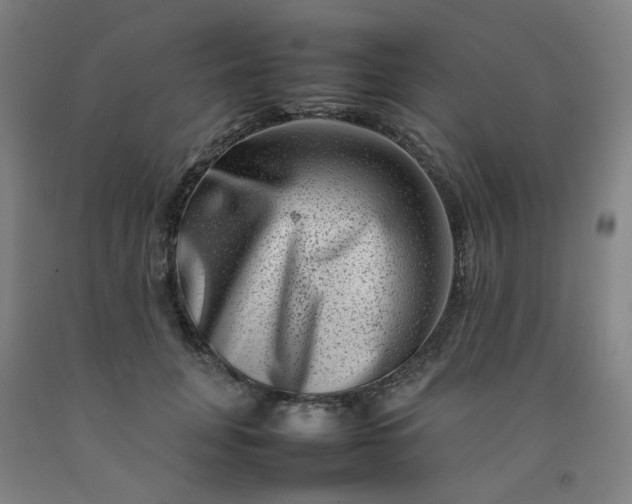 X0000092230751200709281104