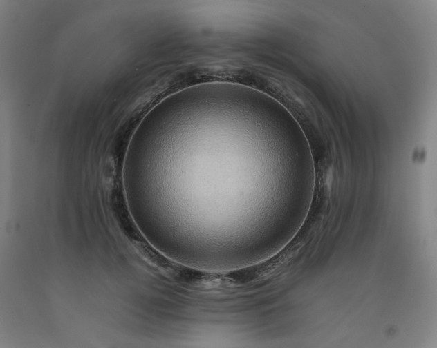 X0000092230752200709281104