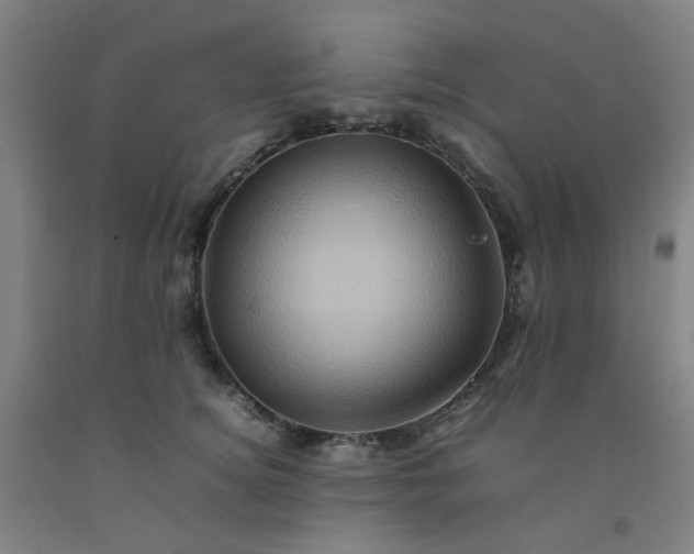 X0000092230756200709281104