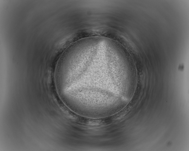 X0000092230757200709281104