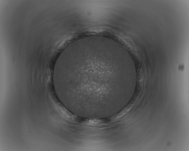 X0000092230758200709281104