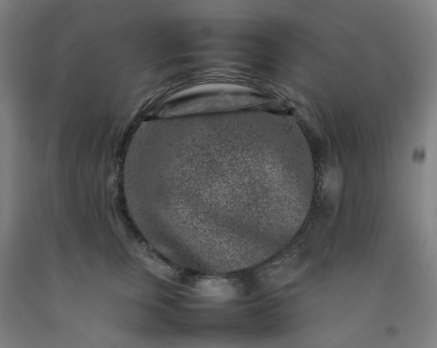 X0000092230759200709281104