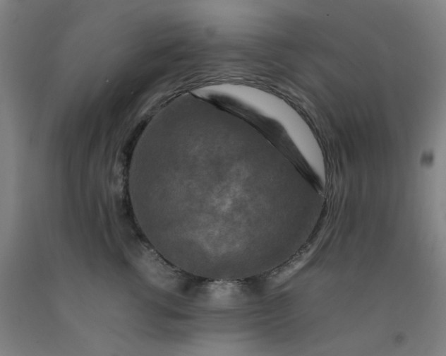 X0000092230762200709281104