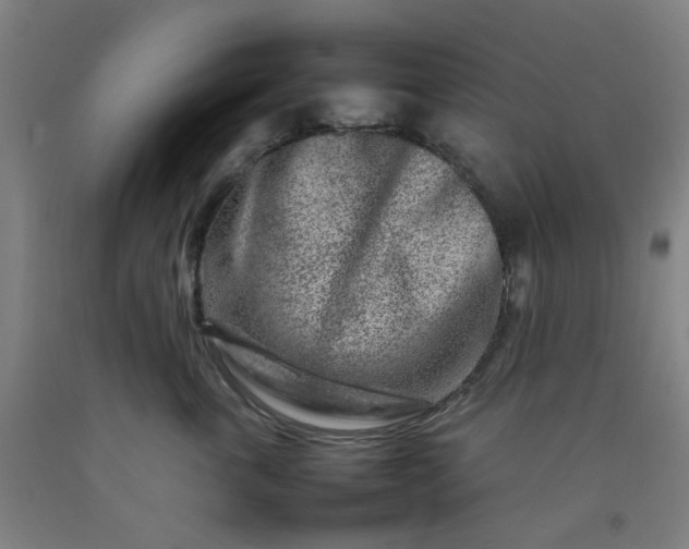 X0000092230763200709281104