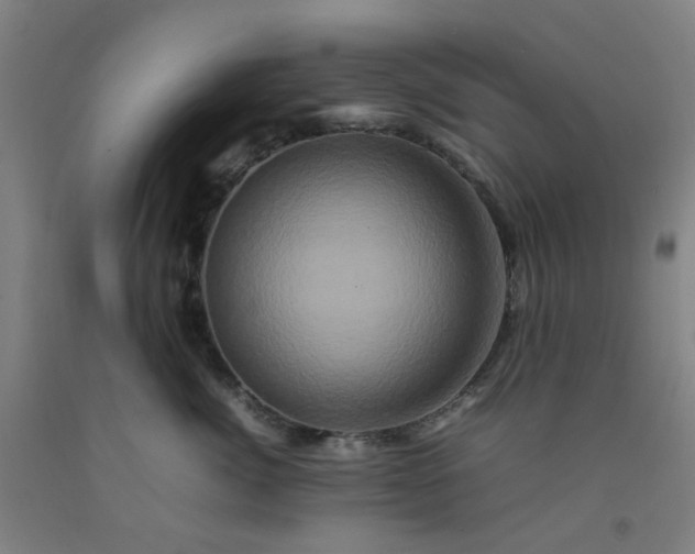 X0000092230764200709281104