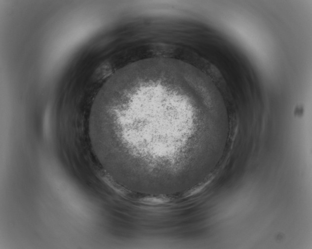 X0000092230765200709281104