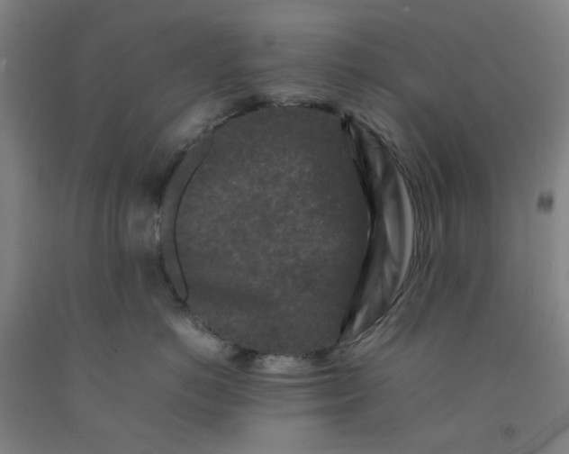 X0000092230766200709281104