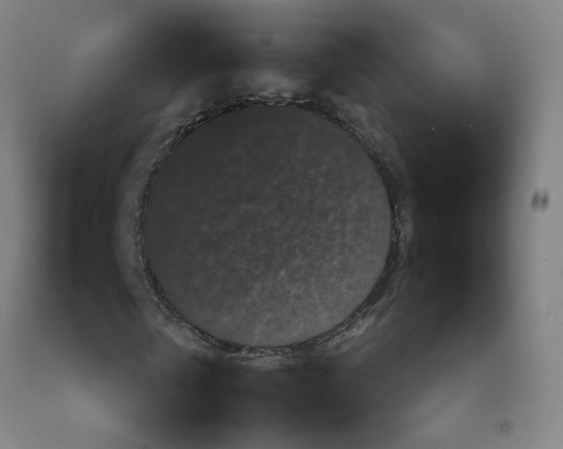 X0000092230769200709281103