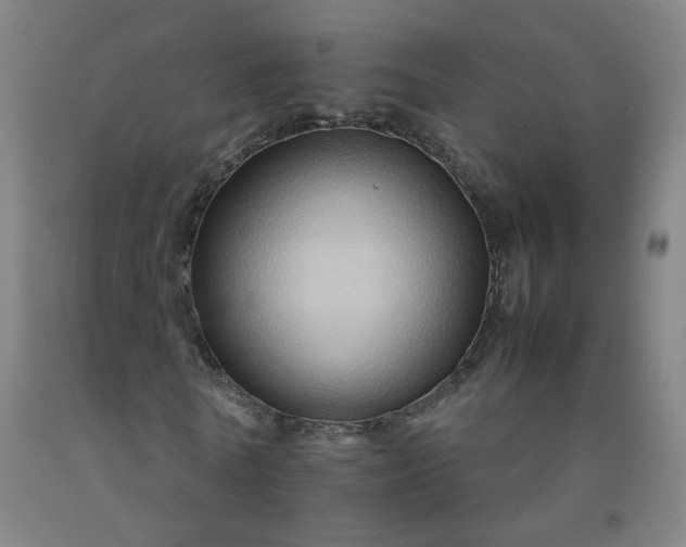 X0000092230770200709281103