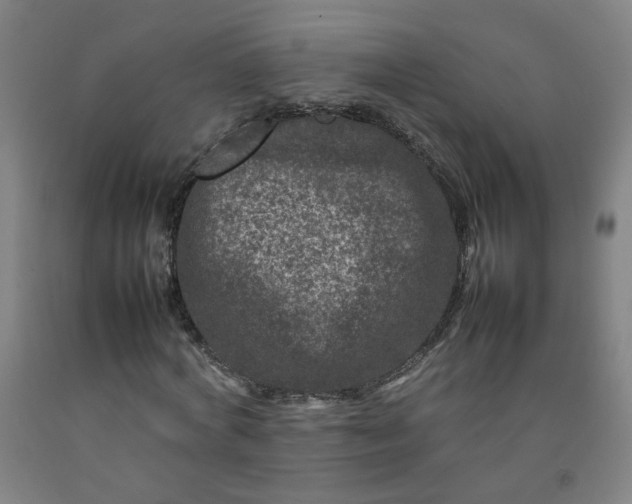 X0000092230772200709281103