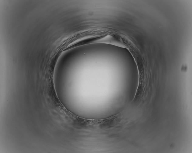 X0000092230773200709281103