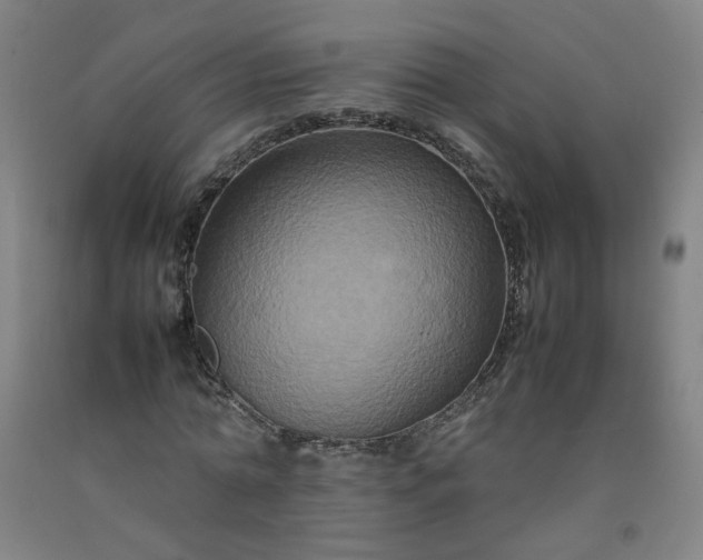 X0000092230774200709281103