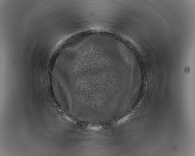 X0000092230776200709281103