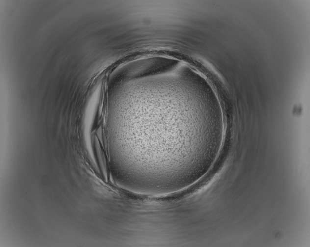 X0000092230777200709281103