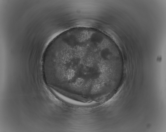 X0000092230779200709281103