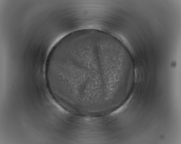 X0000092230780200709281103