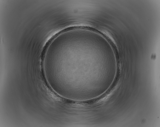 X0000092230781200709281103