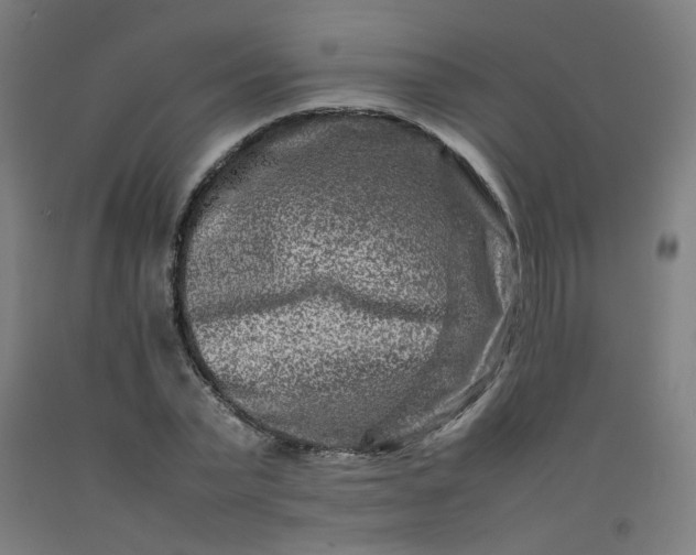 X0000092230783200709281103