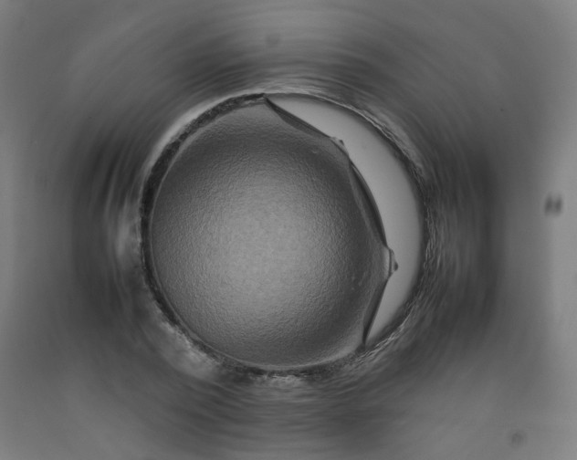 X0000092230784200709281103