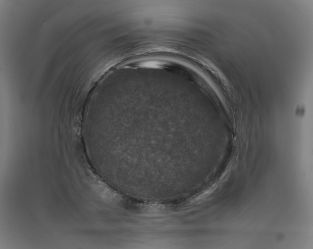 X0000092230785200709281103