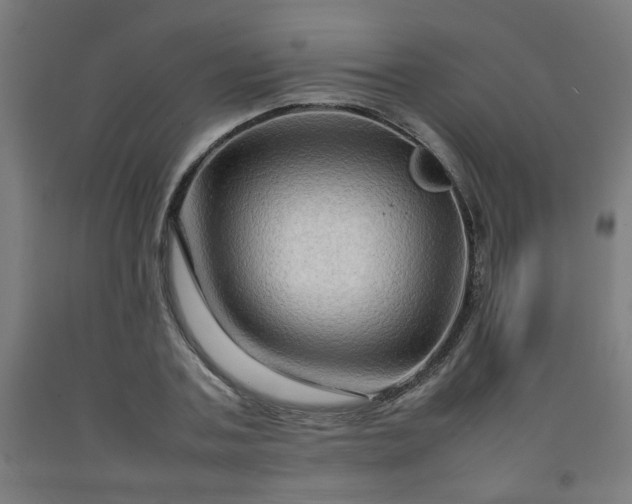 X0000092230787200709281103