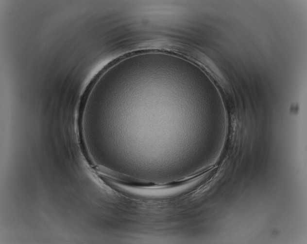 X0000092230788200709281103