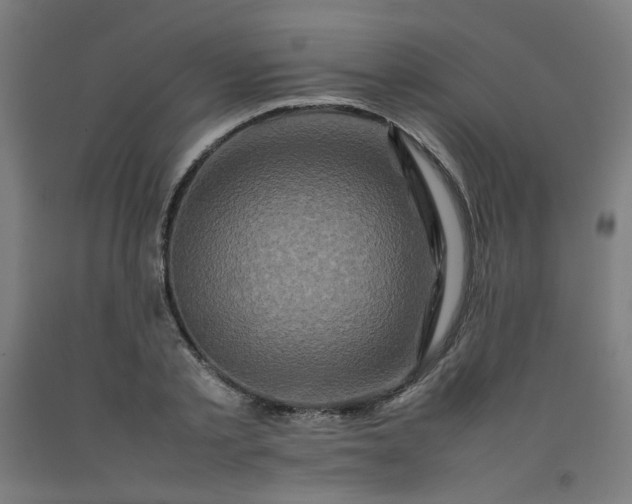 X0000092230789200709281103