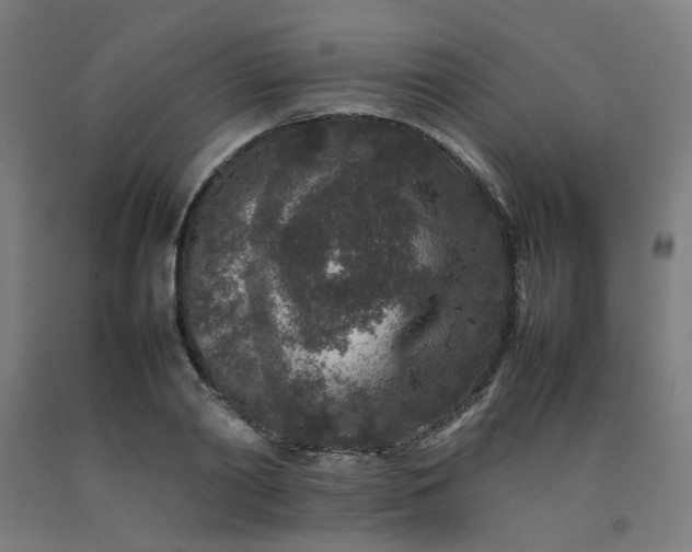 X0000092230790200709281103