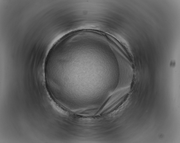 X0000092230792200709281103