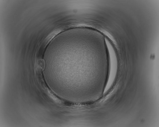 X0000092230793200709281103