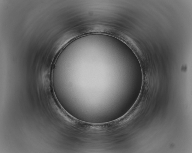 X0000092230794200709281103