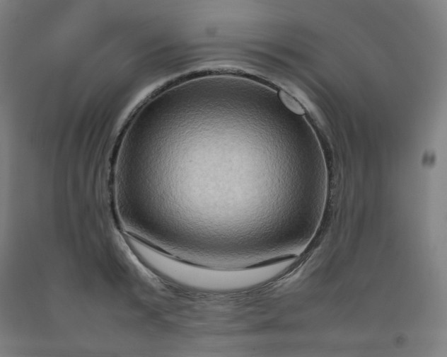 X0000092230799200709281103