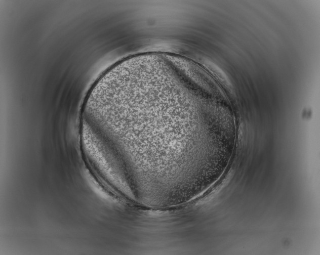 X0000092230800200709281103