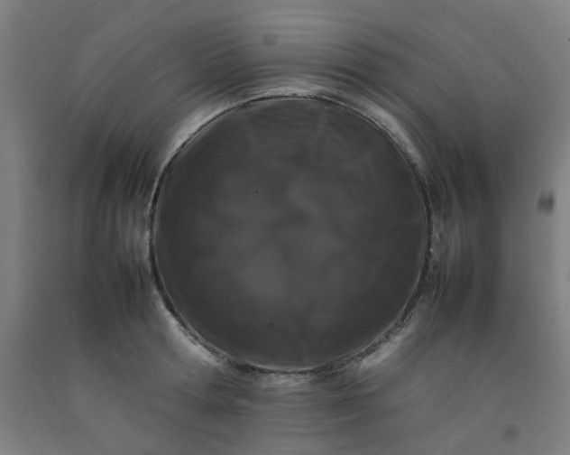 X0000092230802200709281103