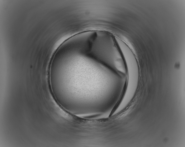 X0000092230803200709281103