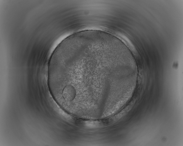 X0000092230804200709281103